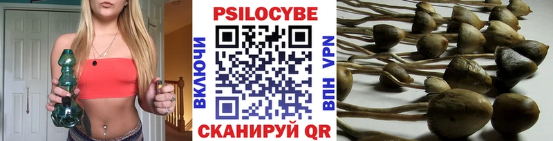 Галлюциногенные грибы прущие грибы  купить  цена  Александровск 